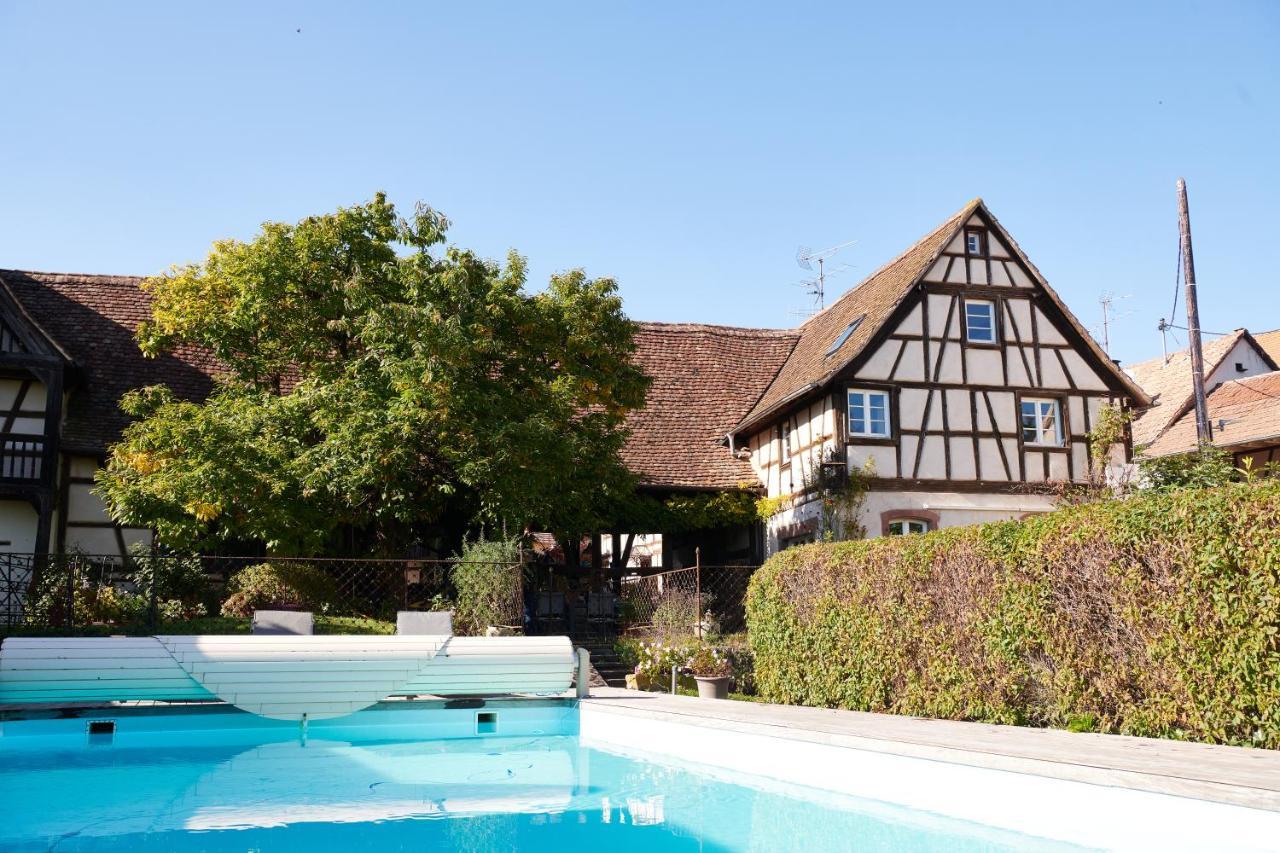 La Cour De Lise Maison D'Hotes Et Spa Willgottheim ภายนอก รูปภาพ